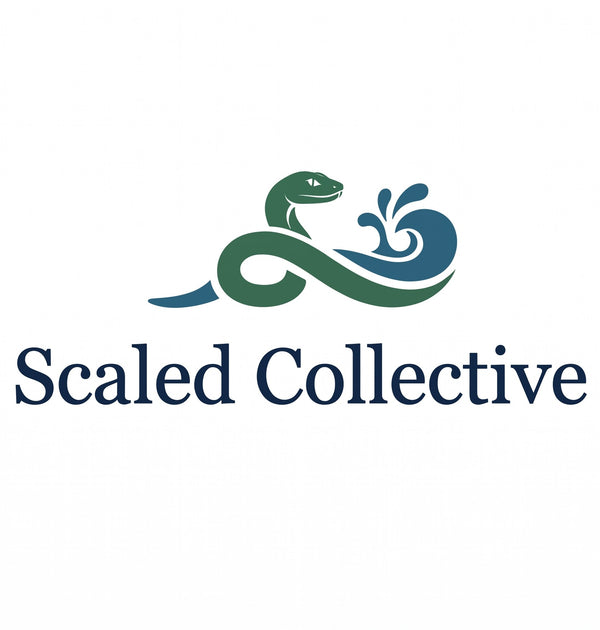 Scaled Collective